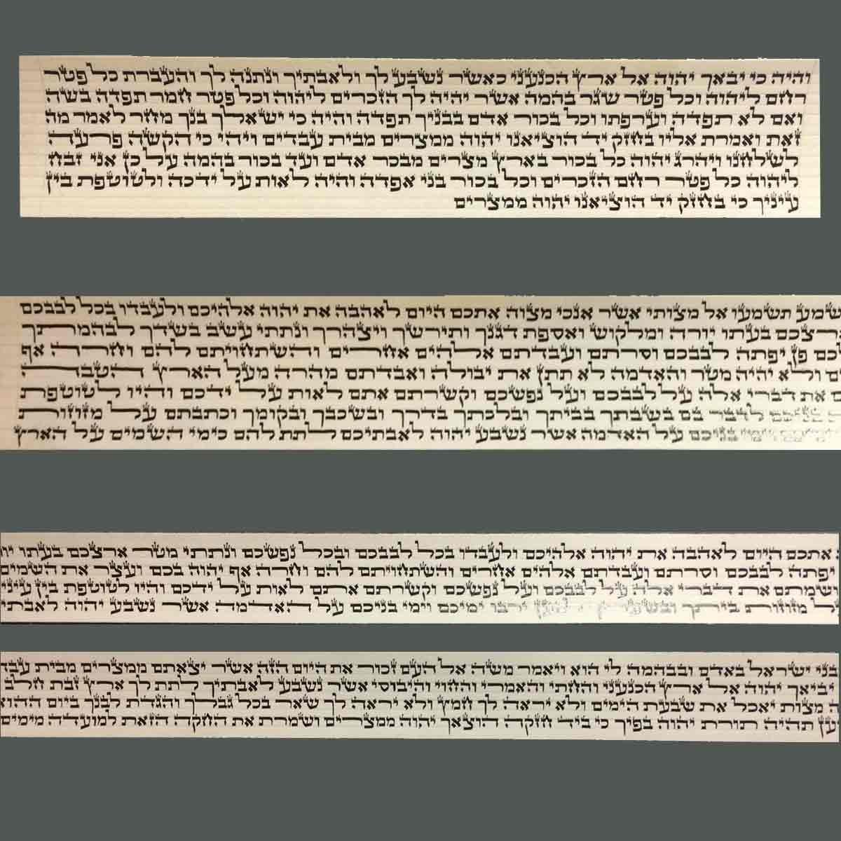 Tefilines Pchoutot – Image 2